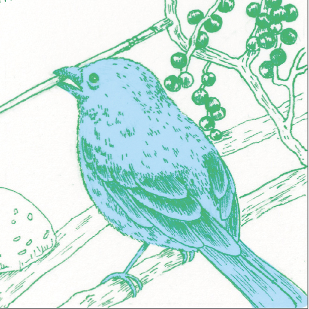 CDE展DMサムネイル